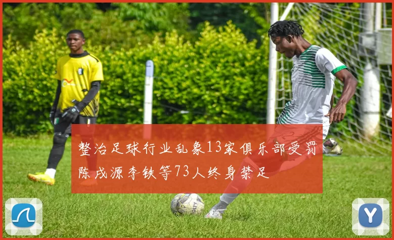 整治足球行业乱象13家俱乐部受罚陈戌源李铁等73人终身禁足