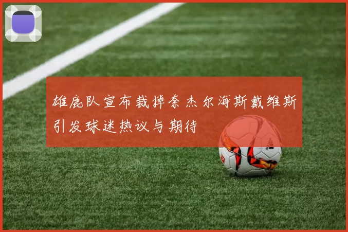 雄鹿队宣布裁掉奈杰尔海斯戴维斯引发球迷热议与期待