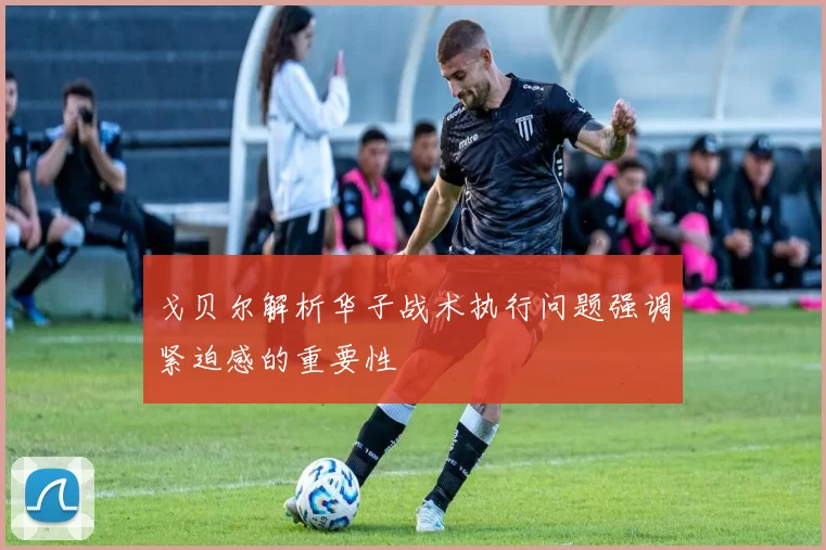 戈贝尔解析华子战术执行问题强调紧迫感的重要性