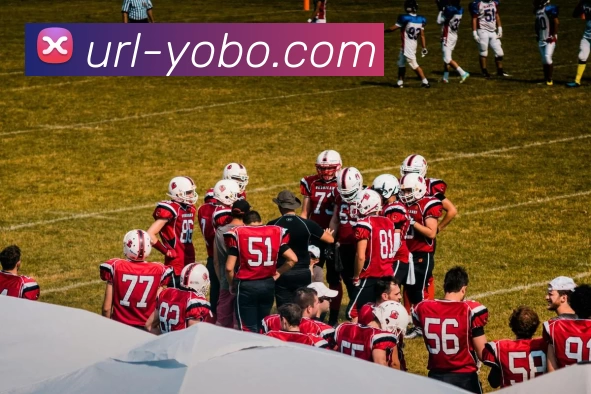 友博体育APP 封面图